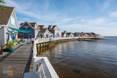 Top 10 Things to do in Duck & Corolla, NC - OuterBanks.com Duck Nc Outer Banks, Duck Outer Banks, Outer Banks Travel, Outer Banks North Carolina Vacation, Corolla Outer Banks, Beach Travel Destinations, Duck Nc, North Carolina Vacations, Corolla Nc