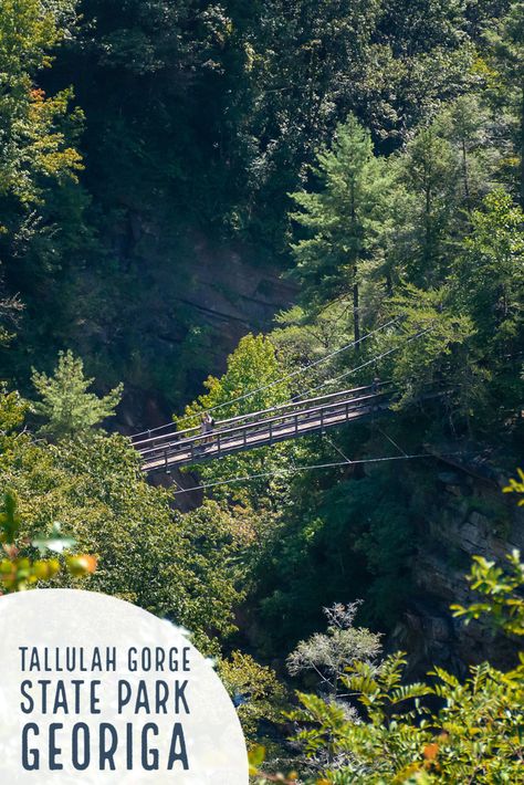 Tallulah Gorge Georgia, Tugaloo State Park Georgia, North Georgia Waterfalls, Crooked River State Park Georgia, Tallulah Gorge, Georgia Travel Guide, Georgia State Parks, Hiking In Georgia, Gorges State Park