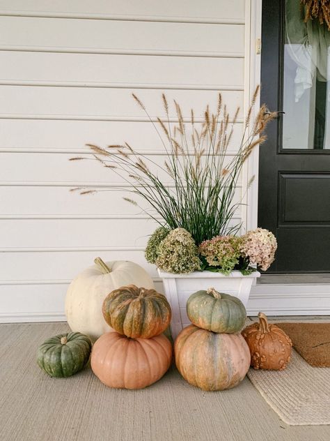 muted orange green and white pumpkins on farmhouse fall front porch Pegrail Diy, Pumpkin Porch Decor, Fall Flower Pots, Vertical Shiplap, Sink Decor, Pergo Flooring, Porch Pumpkins, Dried Hydrangeas, Marble Kitchen