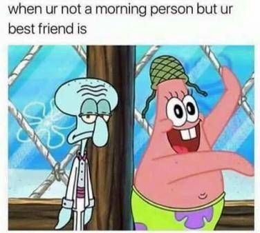 Funny Friend Pictures, Friend Quotes For Girls, Friendship Memes, When Your Best Friend, Friendship Humor, Friend Memes, Best Friends Funny, Friendship Quotes Funny, Spongebob Memes