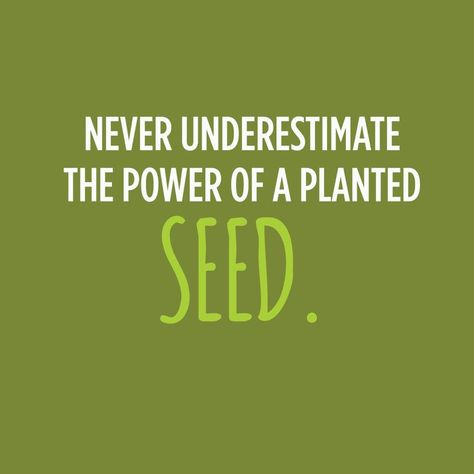 Never underestimate the power of a planted seed via Chef Harpal Singh Sokhi #Seed #quotes Cute Country Quotes, Grandma Quotes Funny, Seed Quotes, Social Work Quotes, Mother Nature Quotes, Adversity Quotes, Growing Quotes, Amazing Inspirational Quotes, World Quotes