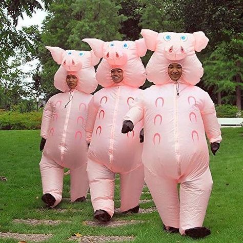 Golden Girls Costumes, Pig Halloween Costume, Funny Group Halloween Costumes, Pig Halloween, Best Group Halloween Costumes, Trio Costumes, Pig Costumes, Cute Group Halloween Costumes, Matching Halloween Costumes