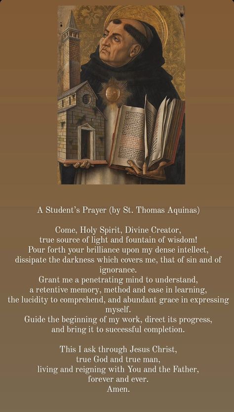 St Thomas Aquinas Prayer, Prayer For Students, Saint Thomas Aquinas, Saint Thomas, Thomas Aquinas, Bible Study Verses, St Thomas, Holy Spirit, Gods Love