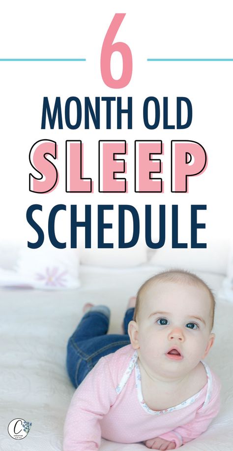 6 Month Old Sleep, Toddler Sleep Schedule, Sleep Train, Sleep Training Methods, Baby Schedule, Sleep Habits, Newborn Baby Tips, Baby Sleep Schedule, Healthy Sleep Habits