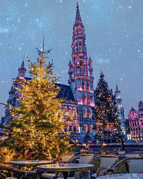 Brussels Christmas, Background References, Paradise Falls, Christmas In Europe, Belgium Travel, Brussels Belgium, Christmas Travel, Historical Architecture, Christmas Market