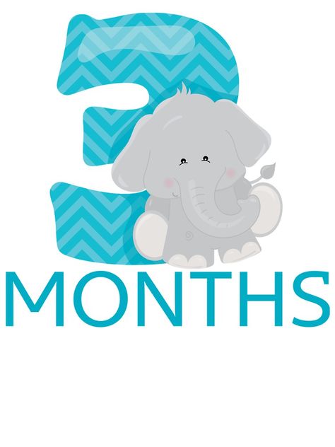 "3 months old! Jungle/Safari themed milestone stickers, cards, and onesies!" Baby One-Pieces by AlaskaGirl | Redbubble