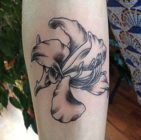 My Hong Kong Bauhinia flower tattoo Kong Tattoo, Bauhinia Flower, Hong Kong Tattoo, Horse Shoe Tattoo, Tat Ideas, Linocut Prints, Flower Tattoos, Linocut, Flower Tattoo