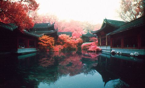 Guozhuang Garden by kgartner, via Flickr