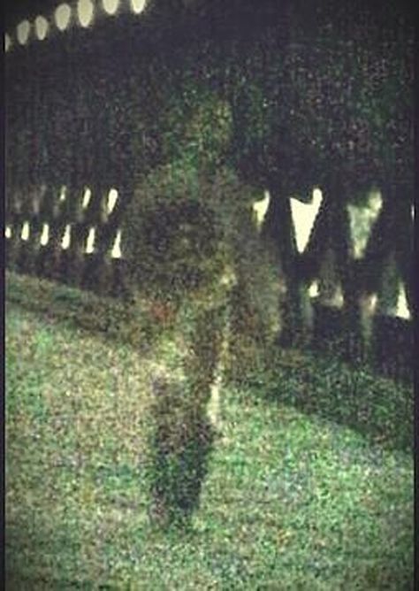 Gettysburg ghost Real Ghosts Caught On Film, Gettysburg Ghosts, Real Ghost Photos, Ghost Pics, Paranormal Pictures, Best Ghost Stories, Paranormal Photos, Ghost Sightings, Real Ghost