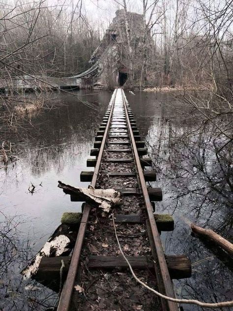 Forgotten Ride over a Lake : AbandonedPorn Abandoned Railway, Abandoned Railroad, Abandoned Theme Parks, Abandoned Amusement Park, Leading Lines, Creepy Places, Forgotten Places, Abandoned Train, Spooky Places