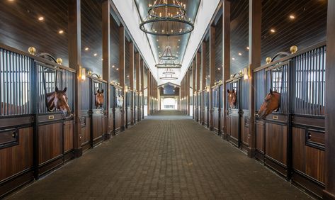 Happy Monday!👋🏻 🐎 . . . . Decorators Unlimited Designer: Alexis Venanzi Architect: In-Site Design Group Builder: B&D Builders Photographer: Jana Bannan Photography #equestrianstyle #equestriandesign #interiordesign #thedecoratorsunlimited #jasonlynn Luxury Horse Stables, Luxury Horse Barns, Palm Beach Interior Design, Equestrian Training, Dream Barn Stables, Horse Barn Ideas Stables, Beach Interior Design, Horse Barn Designs, Dream Horse Barns