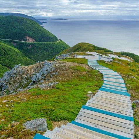 Canada College, Fogo Island Inn, Cedar Plank Salmon, Snow Crab, Cabot Trail, Fresh Lobster, Cape Breton Island, Atlantic Canada, Cape Breton