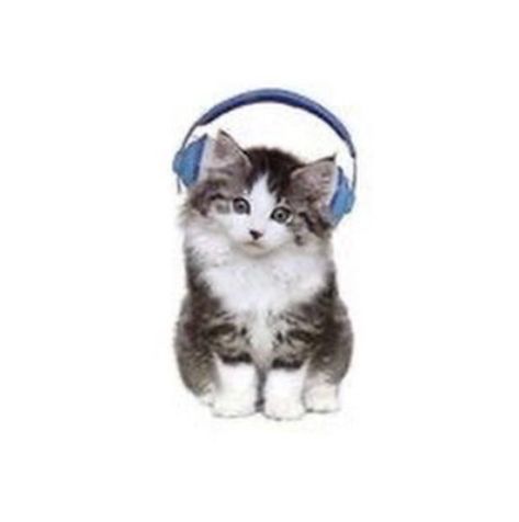 Funny Looking Cars, Cat Headphones, Cat Company, Kitty Kisses, Cat Stock, Animal Icon, Silly Cats Pictures, Cat Icon, Silly Animals