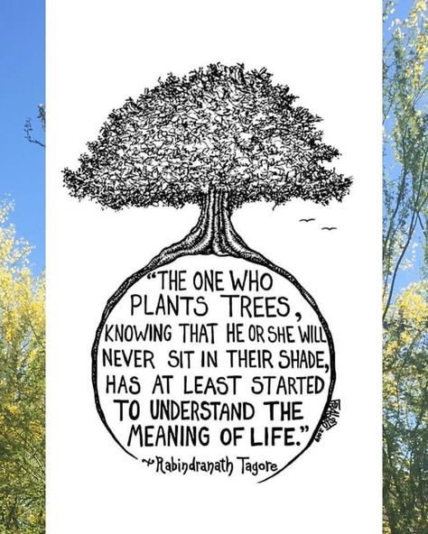 Trees Matter on Instagram: “A little Monday inspiration! ✨🌳 We hope this quote brightens your morning like it did for us. Have a great week, everyone! 💚 . . .…” Tree Of Life Quotes, Tagore Quotes, Connection Quotes, Plants Quotes, Rabindranath Tagore, Garden Quotes, Tree Drawing, Meaning Of Life, Ink Illustrations