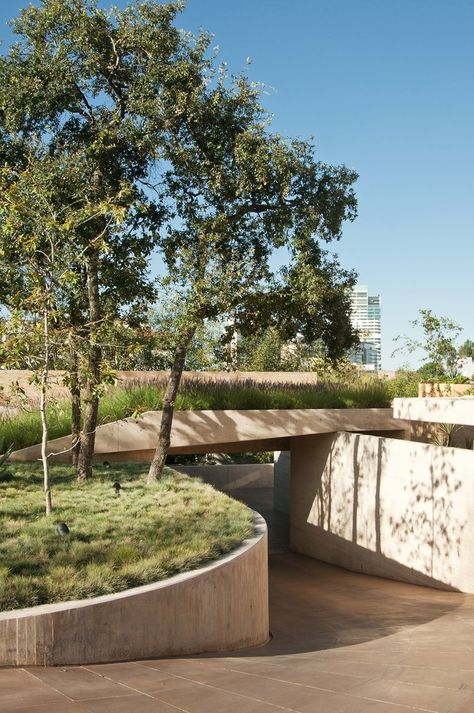 Terrace Architecture, Terraced Landscaping, Landscape And Urbanism Architecture, Green Terrace, Architecture Design Sketch, Mexico City Mexico, Architecture Model House, Landscape And Urbanism, Landscape Architecture Design