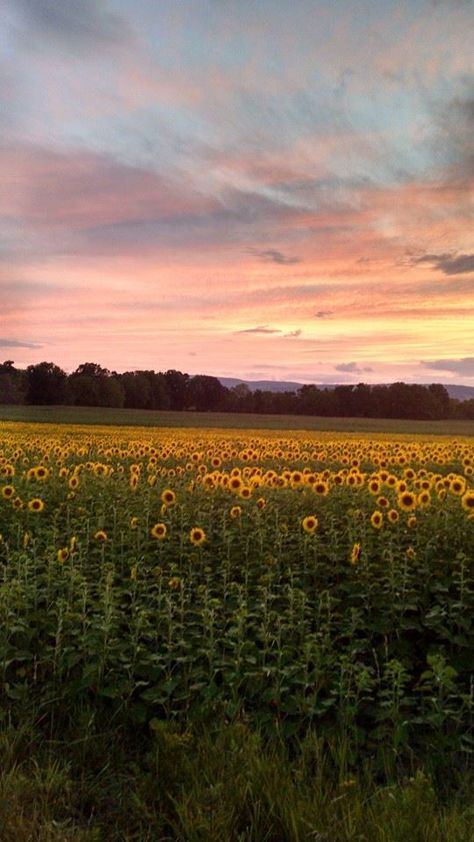 Possible painting Country View, Upstate Ny, Tapeta Pro Iphone, Images Esthétiques, Nature Aesthetic, Pretty Places, Sky Aesthetic, Aesthetic Backgrounds, Aesthetic Photo