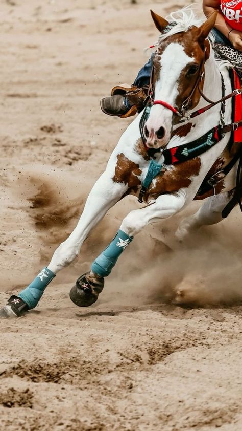 Barrel Racing Horses Pictures, Barrel Racing Photography, Barrel Racing Photos, Preppy Horse, Barrel Racing Tack Rodeo, Fair Photos, Fallon Taylor, Country Horses, Wild Horses Photography