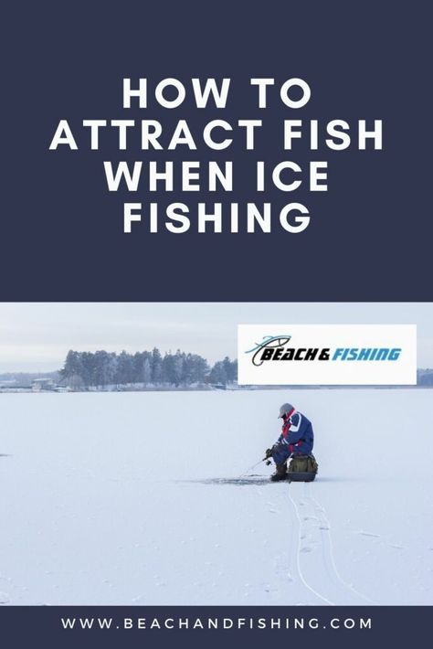 How To Attract Fish When Ice Fishing In 2022 Ice Fishing Hacks, Ice Fishing Tip Ups, Ice Fishing Diy, Ice Fishing Shanty, Diy Fishing Gear, Ice Fishing Sled, Ice Fishing Tent, Ice Fishing Shelter, Ice Fishing Shack