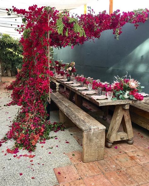 Bougainvillea inspired floral brunch. California Event #weddingflorist @pigsty created this pink floral canopy for a birthday dinner using foraged bougainvillea king protea local lavender and dutch garden roses . photo @jennieross venue @gjustabakery #sundaymorning #weddingflowers #bougainvillea #floralinstallation Hot Pink Wedding Flowers, Chuppah Flowers, Floral Canopy, Dutch Gardens, Hot Pink Weddings, King Protea, Wedding Dress Boutiques, Bride Bouquet, Pink Wedding Flowers