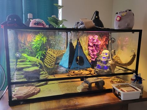 Bearded Dragon Play Pen, Cute Leopard Gecko Tank Ideas, Bearded Dragon Enclosure Ideas, Bearded Dragon Vivarium, Bearded Dragon Terrarium Ideas, Lizard Terrarium, Bearded Dragon Diy, Bearded Dragon Terrarium, Bearded Dragon Enclosure