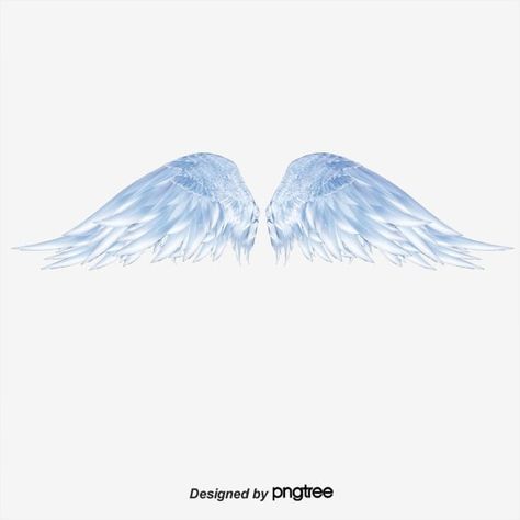 angel,white,feather,wing,blue,angel clipart,wings clipart,angel wings Angel Wings Background, Cartoon Wings, Angel Wings Png, Angel Clipart, Wings Icon, Wings Png, White Angel Wings, Logo Design Video, White Angel