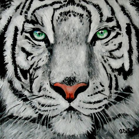 White Tiger Painting Acrylics, Tiger Painting Acrylic, White Tiger Painting, Tiger Portrait, Black Canvas Paintings, Tiger Painting, Soyut Sanat Tabloları, Tiger Art, Tableau Art