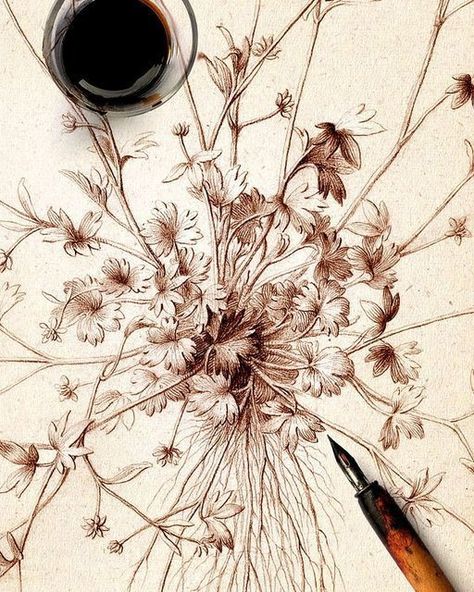 Coffee Paintings, Drawing Medium, Ink Drawing Techniques, Botanical Inspiration, Botanical Sketchbook, Personal Investigation, Creation Art, Flower Art Drawing, Illustration Botanique