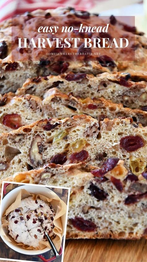 Easy No-Knead Harvest Bread Cake Mix Carrot Cake Recipe, Stick Fort, Ramen Slaw, Cake Mix Carrot Cake, Best Banana Muffin Recipe, Bakery Goodies, Seed Ornaments, Christmas Lamp Post, Best Ina Garten Recipes