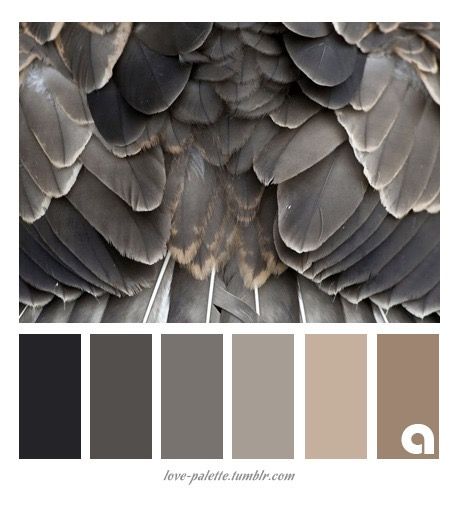 Grey And Black Color Schemes, Dark Grey Beige Color Palette, Gray White Brown Color Palette, Charcoal Grey Colour Palette, Colors To Pair With Gray, White Cream Grey Black Color Palette, Grey Color Palettes, Charcoal Color Palette, Grey Colour Palette