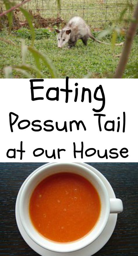 There's more than one way to skin a possum.  Actually, there's more than one way to get kids to eat unfamiliar food.  My husband is good at this.  That's why we eat "possum tail" at our house. Possum Recipes, People Eating, Our House, Window Sill, My Husband, Skin