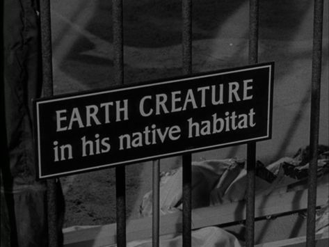 The Twilight Zone Episode 25: People Are Alike All Over - Midnite Reviews Susan Oliver, Roddy Mcdowall, Old Hollywood Aesthetic, To Serve Man, Twilight Zone Episodes, Human Zoo, Oliver And Co, Fifth Dimension, The Twilight Zone