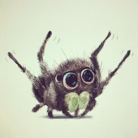 So jumping spiders do these amazing little dances to attract ladies. I've probably spent about 5 hours of my life at this point watching these little guys trying to get some. #spiders #jumpingspiders #jumpingspider #phiddipusaudax #phiddipus #sketch #illustration #artistsoninstagram #illustrator #children Spider Illustration, Spider Drawing, Jumping Spiders, Story Books Illustrations, Spider Art, Jumping Spider, Animal Study, Childrens Books Illustrations, Sketch Illustration