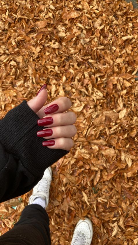 Cranberry Red Christmas Nails, Rich Red Nails, Warm Red Nails, Red Nails Medium Length, Red Glossy Nails, Cranberry Red Nails, Red Christmas Nails, Red Acrylic Nails, Red Fall