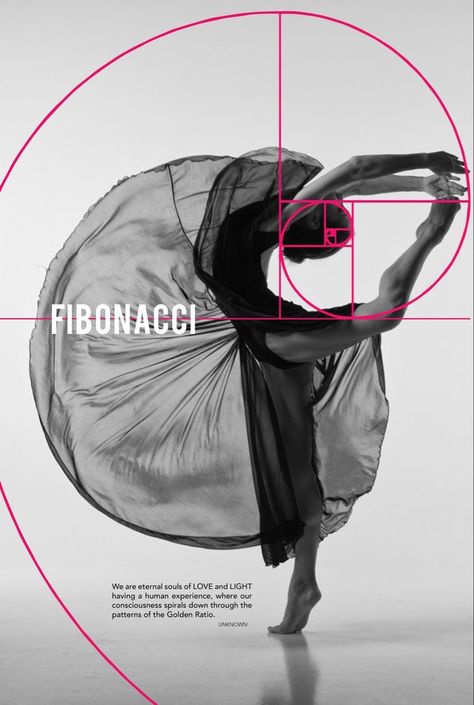 Fibonacci Design, Golden Ratio Art, Fibonacci Art, Fibonacci Number, Foto Sport, Photography Rules, ポップアート ポスター, Golden Spiral, Fibonacci Sequence