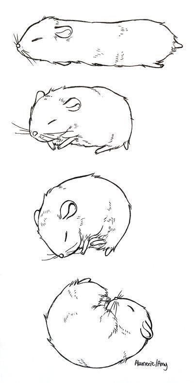 Hamster Outline Tattoo, Drawing Of Hamster, Hamster Memorial Tattoo, How To Draw A Hamster, Hamster Tattoo Minimalist, Sleepy Hamster, Hamster Tattoo, Hamster Drawing, Atrapasueños Tattoo