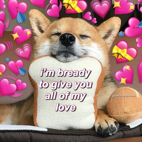 Are you having a bad day? Well you've come to the right place! Check out these 30 wholesome memes so you can feel the love! Girlfriend Meme, Romantic Memes, Sweet Memes, Love You Meme, Wholesome Pictures, Couple Memes, My Favorite Person, You Are Cute, Me As A Girlfriend