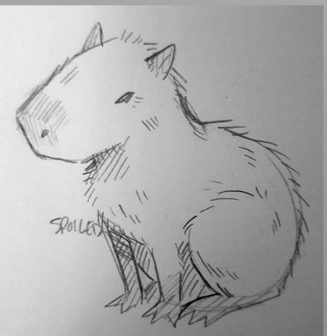 Animal Sketches Easy Simple, Sketch Art Ideas Creative, Doodle Ideas Animals, Anime Animals Drawings, Sketchbook Art Inspiration Animals, Animal Doodles Cute, How To Draw A Capybara, Little Animals Drawings, Funny Art Doodles