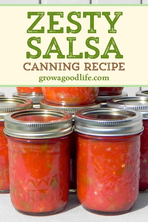 This zesty salsa is packed with tomatoes, peppers, onions, and just enough spicy tingle to tickle your taste buds. Preserve your garden harvest with this salsa canning recipe. Open a jar any time and enjoy with tortilla chips or with your favorite Mexican inspired meals. Mexican Style Salsa Recipe, Spicy Salsa Recipe For Canning, Tomato Salsa Canning, Canning Tutorial, Hot Salsa Recipes, Freezing Produce, Salsa Recipe For Canning, Spicy Salsa Recipe, Salsa With Canned Tomatoes