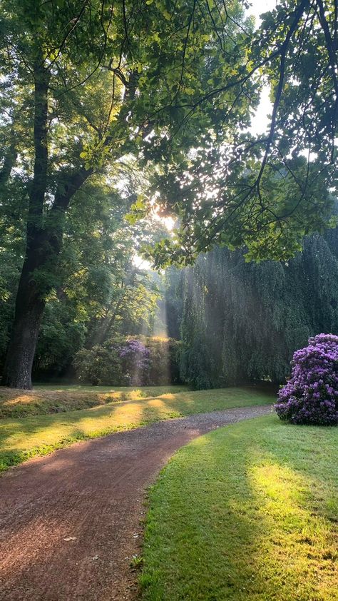 Dreamy Field Aesthetic, Sunny Fields Aesthetic, Sunny Grass Field Aesthetic, Twilight Flower Field, Sunny Grassy Field, Summer Trees, Park Landscape, Garden Park, Countryside House