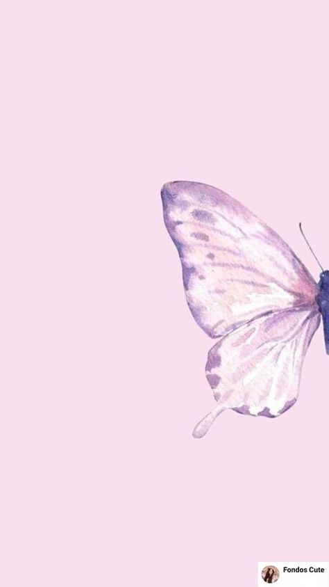 Aesthetic Solid Colors, Solid Color Aesthetic, Carol Wallpaper, Wallpaper Butterflies, Pink Layout, Background Screensavers, Iphone Purple, Wallpaper Hippie, Purple Butterfly Wallpaper