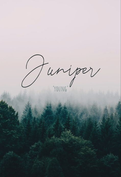 Juniper Name Meaning, Juniper Name, Unique Words, Baby Name, Names With Meaning, Baby Names, Kids And Parenting, Meant To Be, Parenting