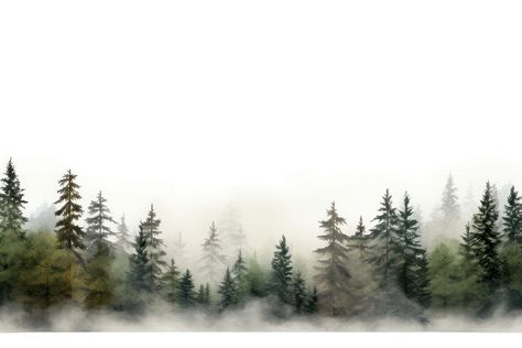 Forest backgrounds outdoors woodland. | free image by rawpixel.com / Wan Forest Background Landscape, Forest Backgrounds, Forest Background, Pine Forest, Wood Background, Download Free Images, Free Image, Arch, Forest