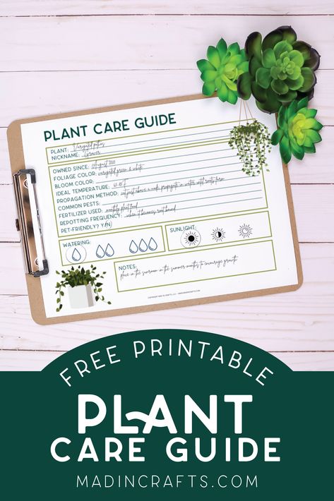 Free Plant Printables, Plant Journal Template, Plant App, Plant Care Guide, Plant Diary, Scrapbook Patterns, Plant Journal, Bujo Ideas, Indoor Plant Care