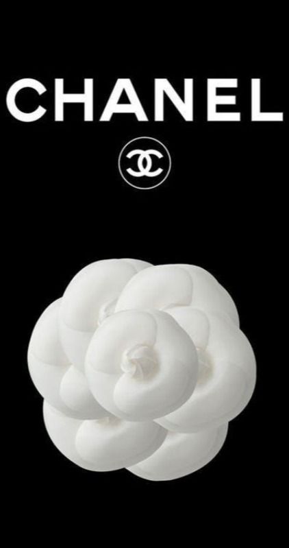 From the Lady of the Camellias to the lapel flower from the dandy, the camellia is Chanel's quintessential flower and the most beloved in fashion history. A symbol of the rue Cambon Maison used in its founder's creations since 1923. Lady Of The Camellias, Chanel Camellia, Lapel Flower, A Symbol, The Lady, Fashion History, Dandy, In Fashion, Chanel