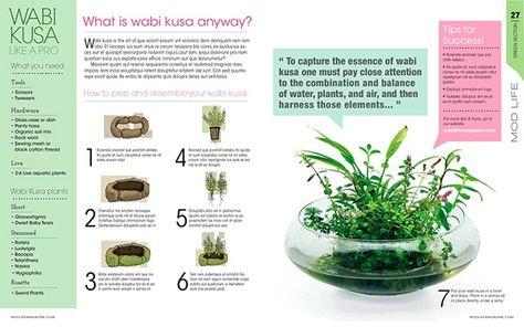 Wabi Kusa, Custom Aquarium, Plants In Jars, Indoor Water Garden, Nano Aquarium, Mini Bonsai, Inside Plants, Bottle Garden, Moss Garden