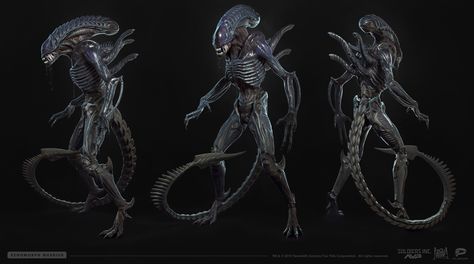 Xenomorph warrior , Stanislav Ostrikov on ArtStation at https://www.artstation.com/artwork/GkJga Xenomorph Reference, Xenomorph Costume, Alien Isolation, Alien Artwork, Alien Queen, Alien Tattoo, Alien Character, Arte Alien, Aliens Movie