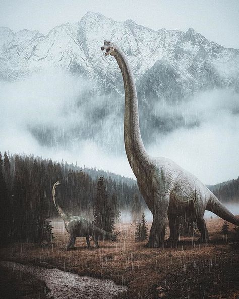 They do move in herds . . #brachiosaurus #stevenspielberg #colintrevorrow #battleatbigrock #jurassicworld2 #jurassicworld… Jurassic Park Poster, Dinosaur Sketch, Prehistoric Wildlife, Dinosaur Wallpaper, Dinosaur Images, Dinosaur Pictures, Dinosaur Illustration, Prehistoric World, Jurassic World Dinosaurs