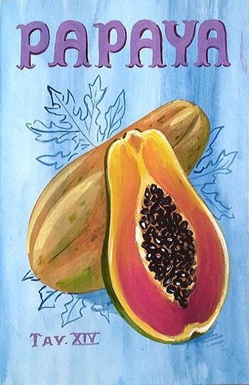 Papaya Botanical Illustration, Papaya Aesthetic, Papaya Tattoo, Papaya Art, Outside Paint, Psychadelic Art, Spanish Art, Summer Signs, Floral Cases