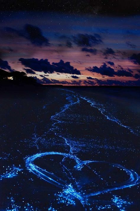 Sea of Stars in the Maldives! 20 UNREAL Travel Destinations you have to see!! Click through to read the full post! Vaadhoo Island, Sea Of Stars, The Maldives, Maldives, The Sky, Stars, Water, Blue