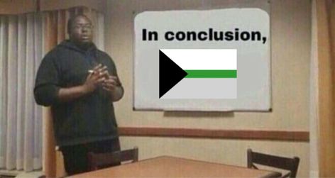 a man standing in front a board with the words “in conclusion” on it and a demi-romantic flag under In Conclusion Lgbt, Demi Romantic, Panromantic Demisexual, Romantic Memes, In Conclusion, Bad Puns, Gay Memes, Reaction Pictures, Puns